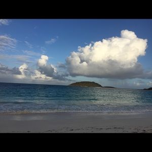 Meet your Posher, Riley